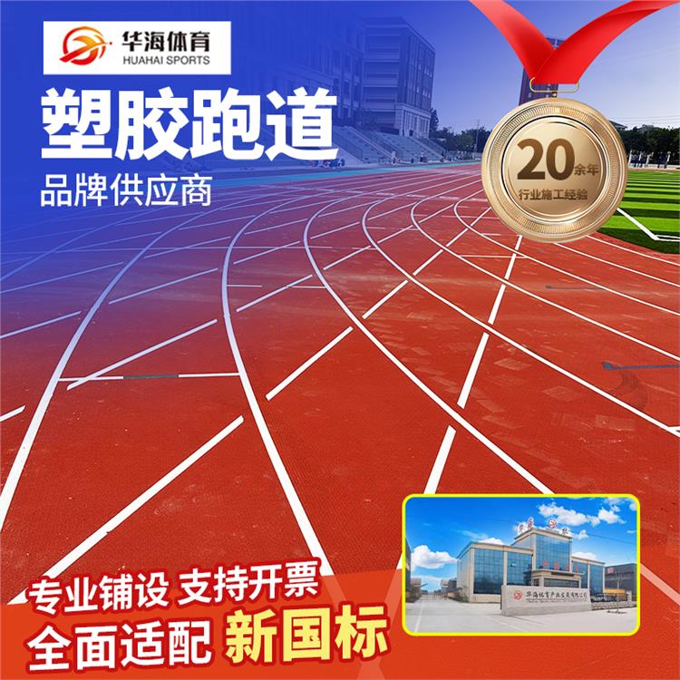 怀化市epdm颗粒预制型橡胶跑道 - 厂家